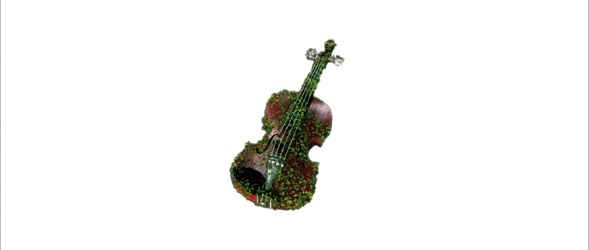 A whole bowed instrument suspended against white, with foliage covering its wood and strings.