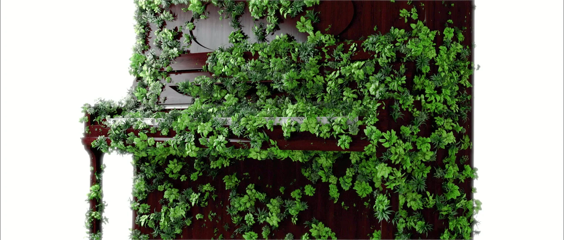 A dark wooden upright piano with green plants covering its keys and front.