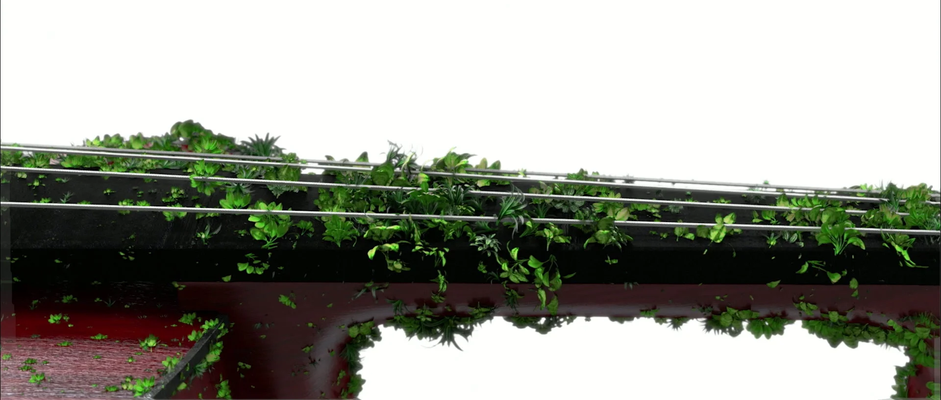 Strings and fingerboard of a red wooden bowed instrument, surrounded by foliage against white.