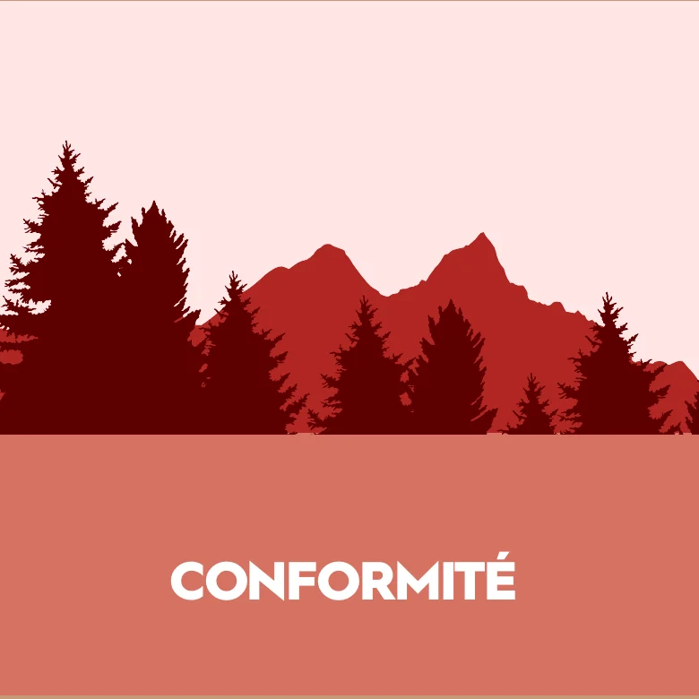 Colour study by Frédéric Dauges for Firearm fitting: mountains and fir trees in earthy brown and pink.